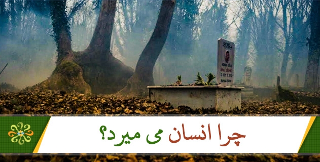 چرا انسان می میرد؟