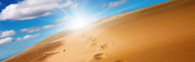 صحرای محشر كجاست؟